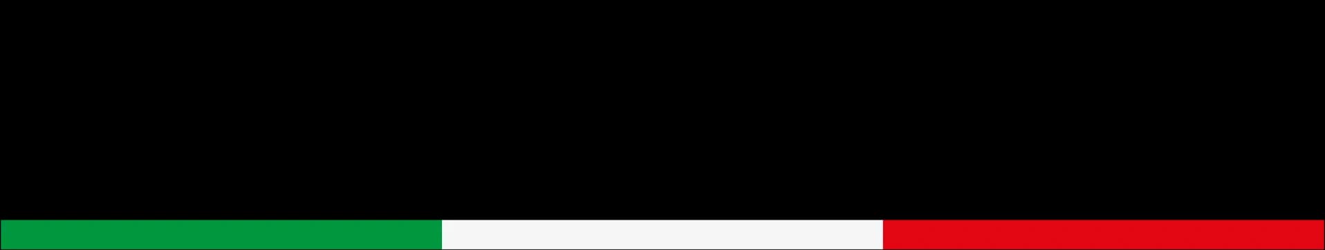 Gamma+ Brand Wordmark